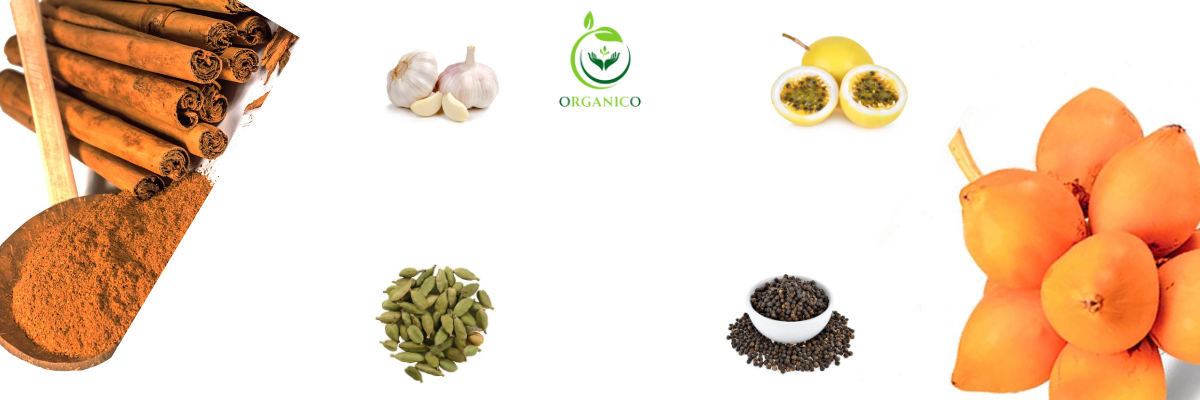 Discover the Vibrant Flavors of Organico